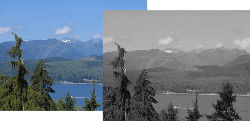 Convert an image to grayscale